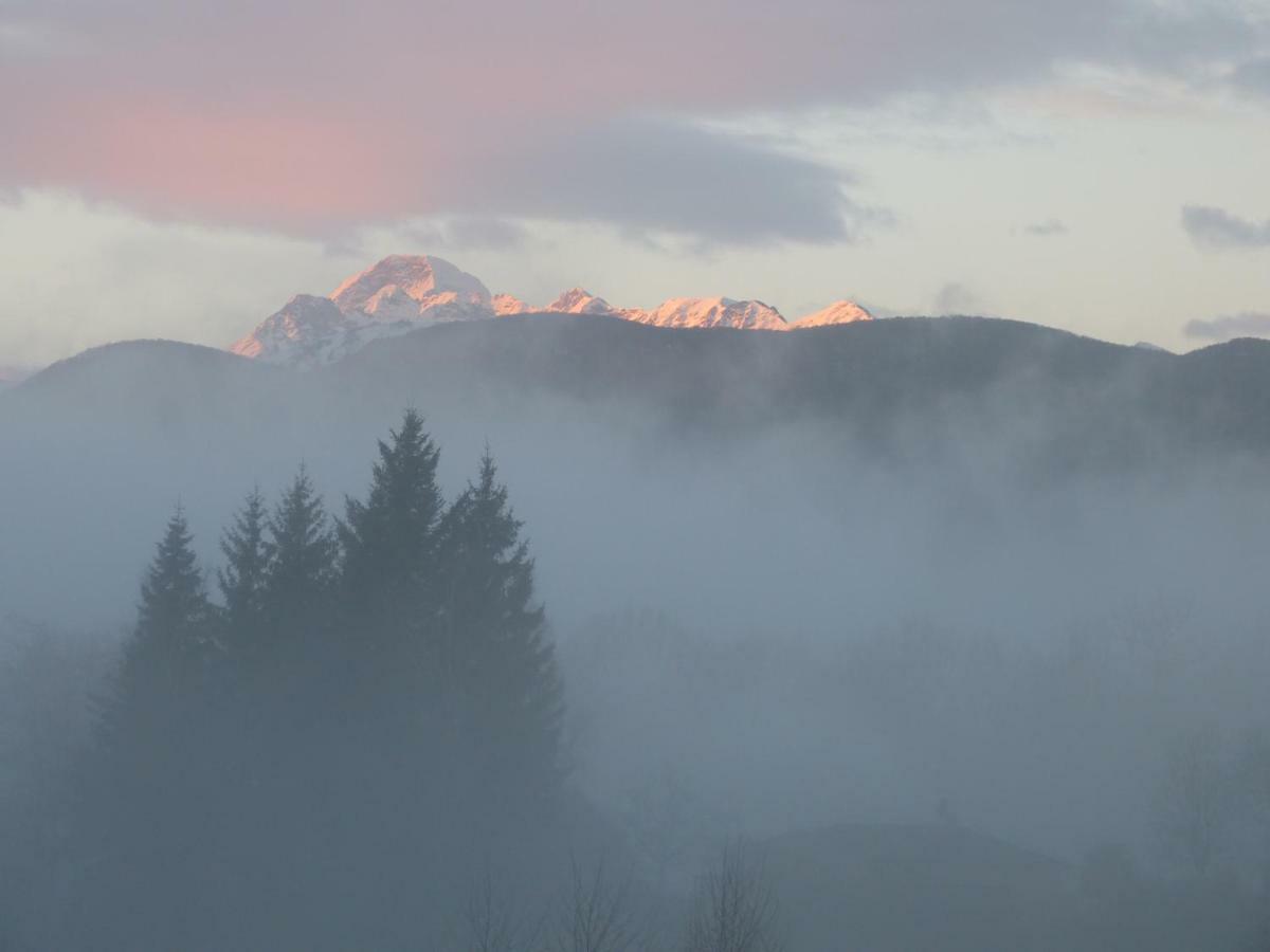 Splendide Vue Pyrenees, Rez De Jardin 2 Chambres Montjoie-en-Couserans Экстерьер фото