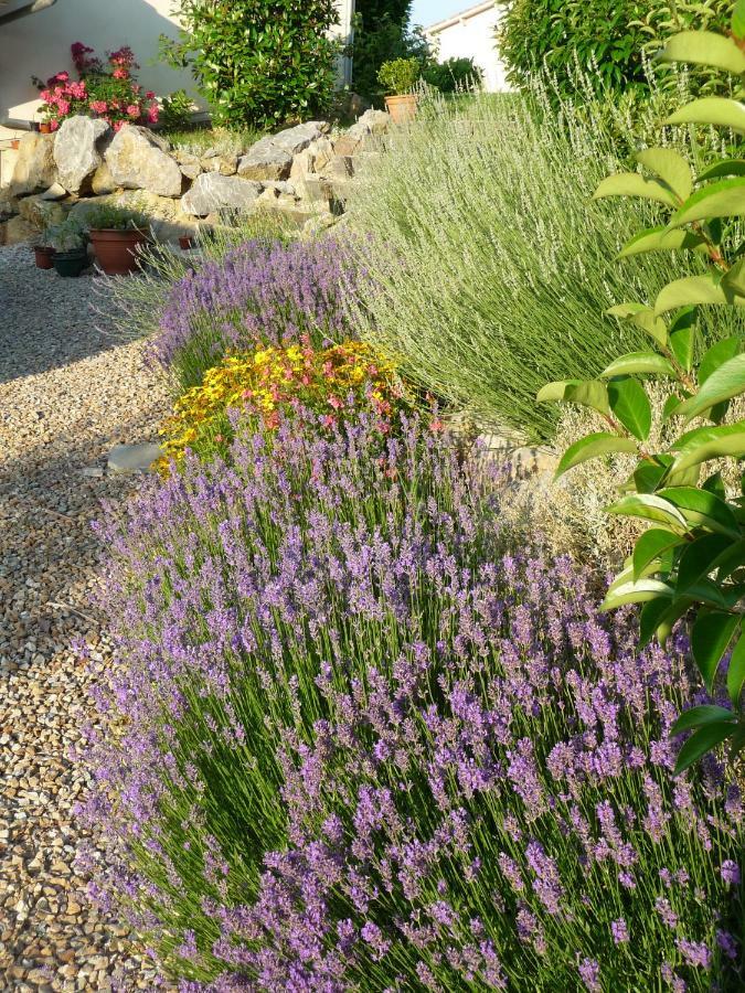 Splendide Vue Pyrenees, Rez De Jardin 2 Chambres Montjoie-en-Couserans Экстерьер фото